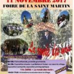 Read more about the article Aramon Foire de la Saint Martin 11 Novembre 2017